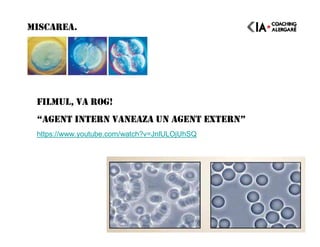 MISCAREA.
FILMUL, VA ROG!
“AGENT INTERN VANEAZA UN AGENT EXTERN”
https://www.youtube.com/watch?v=JnlULOjUhSQ
 