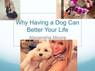 Why Having a Dog Can 
Better Your Life 
Alexandria Moore 
 
