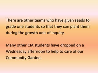 There are other teams who have given seeds to grade one students so that they can plant them during the growth unit of inquiry. Many other CIA students have dropped on aWednesday afternoon to help to care of our Community Garden.