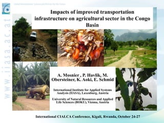 Impacts of improved transportation
infrastructure on agricultural sector in the Congo
                      Basin




           A. Mosnier , P. Havlik, M.
         Obersteiner, K. Aoki, E. Schmid

          International Institute for Applied Systems
            Analysis (IIASA), Laxenburg, Austria
         University of Natural Resources and Applied
           Life Sciences (BOKU), Vienna, Austria



International CIALCA Conference, Kigali, Rwanda, October 24-27
 