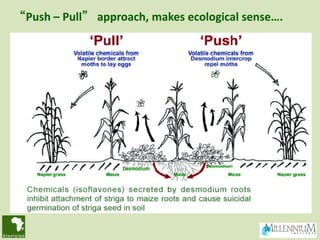 “Push – Pull” approach, makes ecological sense….
 
