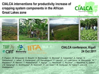 CIALCA interventions for productivity increase of cropping system components in the African Great Lakes zone   CIALCA conference, Kigali  24 Oct 2011 P. Pypers 1 , W. Bimponda 2 , E. Birachi 3 , K. Bishikwabo 4 , G. Blomme 5 , S. Carpentier 6 , A. Gahigi 7 , S. Gaidashova 7 ,  J. Jefwa 1 , S. Kantengwa 4 , J.P. Kanyaruguru 8 , P. Lepoint 9 , J.P. Lodi-Lama 4 , M. Manzekele 2 , S. Mapatano 10 , R. Merckx 6 , T. Ndabamenye 7 , T. Ngoga 7 , J.J. Nitumfuidi 2 , C. Niyuhire 11 , J. Ntamwira 2 , E. Ouma 12 , J.M. Sanginga 4 , C. Sivirihauma 13 , R. Swennen 6 , P. van Asten 14 , B. Vanlauwe 1 ,  N. Vigheri 15 , and  J.M. Walangululu 16 