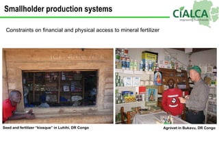 Constraints on financial and physical access to mineral fertilizer Seed and fertilizer “kiosque” in Luhihi, DR Congo Agrov...