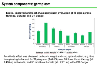 Exotic, improved and local  Musa  germplasm evaluation at 18 sites across  Rwanda, Burundi and DR Congo. An altitude effec...