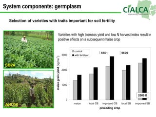 Selection of varieties with traits important for soil fertility SB24 AND10 Varieties with high biomass yield and low N har...