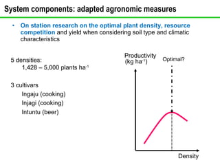<ul><li>On station research on the optimal plant density, resource competition  and yield when considering soil type and c...