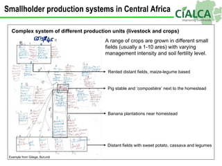 Complex system of different production units (livestock and crops) A range of crops are grown in different small fields (u...