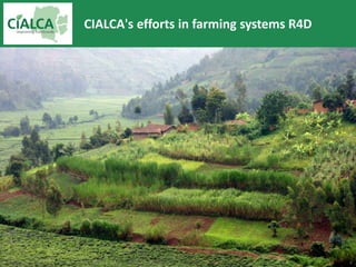 CIALCA's efforts in farming systems R4D
 