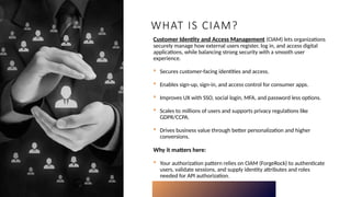 CIAM-Based User Authorization Pattern for Secure API Exposure in IBM ...