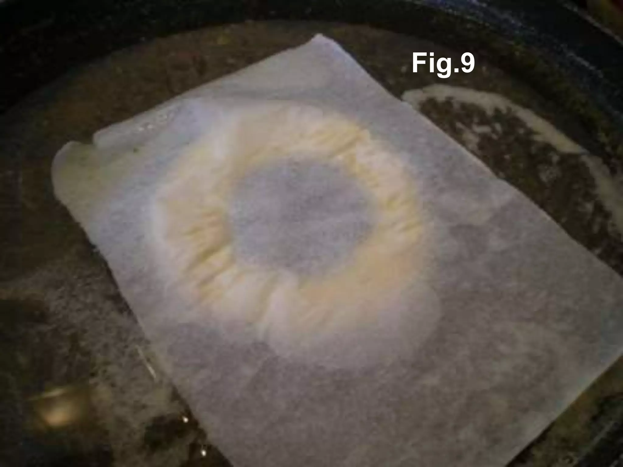 Fig.9
