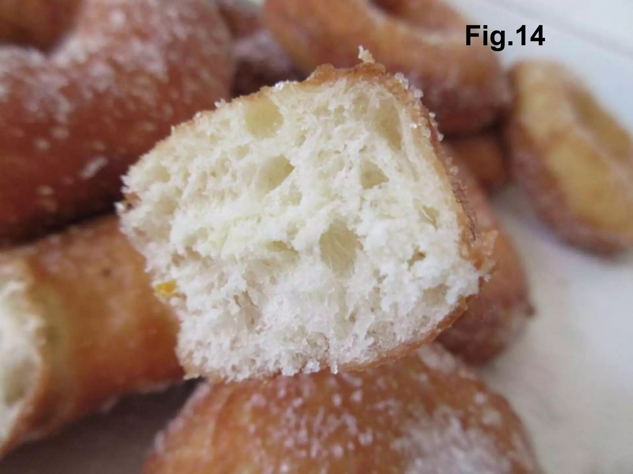 Fig.14