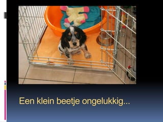 Een klein beetje ongelukkig...
 