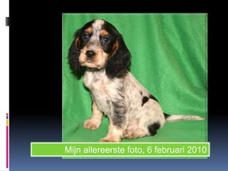 Mijn allereerste foto, 6 februari 2010
 