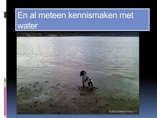 En al meteen kennismaken met
water
 