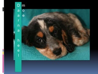 D m
a o
a e
r
n
a

h
e
e
l
 