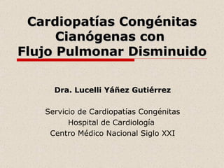 Cardiopatías Congénitas
      Cianógenas con
Flujo Pulmonar Disminuido

     Dra. Lucelli Yáñez Gutiérrez

   Servicio de Cardiopatías Congénitas
         Hospital de Cardiología
    Centro Médico Nacional Siglo XXI
 