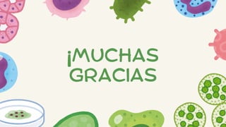 ¡MUCHAS
GRACIAS
 