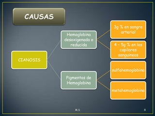 CAUSAS
Hemoglobina
desoxigenada o
reducida
CIANOSIS

3g % en sangre
arterial
4 – 5g % en los
capilares
sanguineos
sulfahemoglobina

Pigmentos de
Hemoglobina
metahemoglobina

M.S

8

 