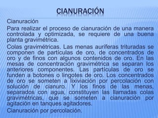 CIANURACIÓN
Cianuración
Para realizar el proceso de cianuración de una manera
controlada y optimizada, se requiere de una buena
planta gravimétrica.
Colas gravimétricas. Las menas auríferas trituradas se
componen de partículas de oro, de concentrados de
oro y de finos con algunos contenidos de oro. En las
mesas de concentración gravimétrica se separan los
anteriores componentes. Las partículas de oro se
funden a botones o lingotes de oro. Los concentrados
de oro se someten a lixiviación por percolación con
solución de cianuro. Y los finos de las menas,
separados con agua, constituyen las llamadas colas
gravimétricas, que se someten a cianuración por
agitación en tanques agitadores.
Cianuración por percolación.
 