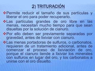 2) TRITURACIÓN
Permite reducir el tamaño de sus partículas y
liberar el oro para poder recuperarlo.
Las partículas grandes de oro libre en las
menas, necesitan mucho tiempo para que sean
disueltas por la solución de cianuro.
Por ello deben ser previamente separadas por
gravedad, antes de lixiviar con cianuro.
Las menas portadoras de sulfuros, o carbonatos,
requieren de un tratamiento adicional, antes de
comenzar el proceso de lixiviación de oro,
porque el cianuro tiende a lixiviar los minerales
con sulfuros en lugar del oro, y los carbonatos a
unirse con el oro disuelto.
 