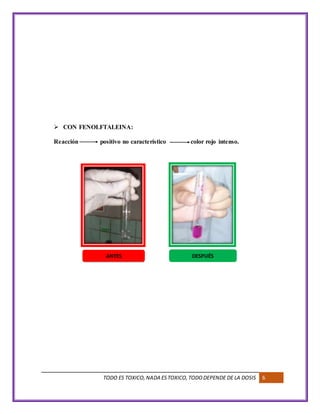 TODO ES TOXICO,NADA ESTOXICO,TODODEPENDE DE LA DOSIS 6
 CON FENOLFTALEINA:
Reacción positivo no característico color rojo intenso.
ANTES DESPUÉS
 