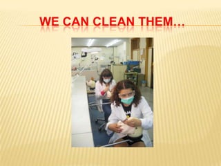 WE CAN CLEAN THEM…
 