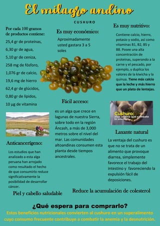 C U S H U R O
Aproximadamente
usted gastara 3 a 5
soles
Es muy económico:
¿Qué espera para comprarlo?
Es muy nutritivo:Por cada 100 gramos
de productos contiene:
25,4 gr de proteínas,
6,30 gr de agua,
5,10 gr de ceniza,
258 mg de fósforo,
1,076 gr de calcio,
19,6 mg de hierro
62,4 gr de glúcidos,
0,80 gr de lípidos,
10 µg de vitamina
Contiene calcio, hierro,
potasio y sodio, así como
vitaminas B1, B2, B5 y
B8. Posee una alta
concentración de
proteínas, superando a la
carne y el pescado, por
ejemplo, y duplica los
valores de la kiwicha y la
quinua. Tiene más calcio
que la leche y más hierro
que un plato de lentejas.
Estos beneficios nutricionales convierten al cushuro en un superalimento
cuyo consumo frecuente contribuye a combatir la anemia y la desnutrición.
Fácil acceso:
es un alga que crece en
lagunas de nuestra Sierra,
sobre todo en la región
Áncash, a más de 3,000
metros sobre el nivel del
mar. Las comunidades
altoandinas consumen esta
planta desde tiempos
ancestrales.
Laxante natural
La ventaja del cushuro es
que no se trata de un
alimento que provoque
diarrea, simplemente
favorece el trabajo del
intestino y favoreciendo la
expulsión fácil de
deposiciones.
Anticancerígeno:
Los estudios que han
analizado a esta alga
peruana han arrojado
como resultado el hecho
de que consumirlo reduce
significativamente la
posibilidad de desarrollar
cáncer.
Reduce la acumulación de colesterolPiel y cabello saludable