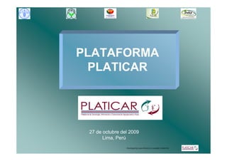 PLATAFORMA
 PLATICAR




 27 de octubre del 2009
       Lima, Perú
                 Developed by Laura Ramírez & Leonardo Cordero for
 