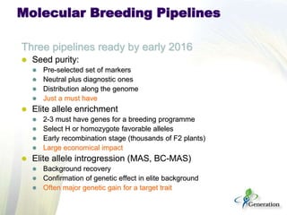 Lessons learn from the generation challenge programme and way forward with the integrated breeding platform