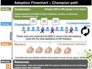 Lessons learn from the generation challenge programme and way forward with the integrated breeding platform