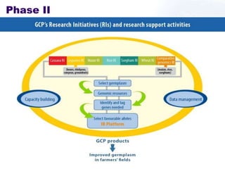 Lessons learn from the generation challenge programme and way forward with the integrated breeding platform