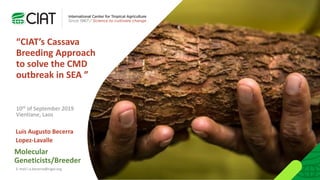 Luis Augusto Becerra
Lopez-Lavalle
“CIAT’s Cassava
Breeding Approach
to solve the CMD
outbreak in SEA ”
10th of September 2019
Vientiane, Laos
E-mail l.a.becerra@cigar.org
Molecular
Geneticists/Breeder
 