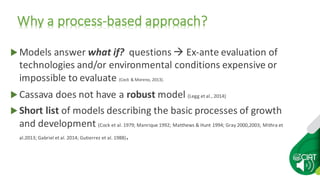 Modelling the future of cassava production in Asia | PDF | Agriculture ...