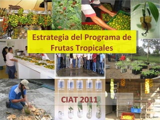 Estrategia del Programa de Frutas Tropicales 01/11 CIAT 2011 