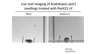 Plant Genetics and The Future of Food. Pam Ronald