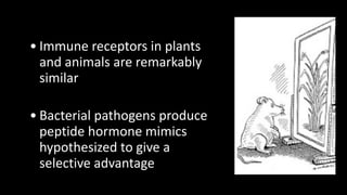 Plant Genetics and The Future of Food. Pam Ronald