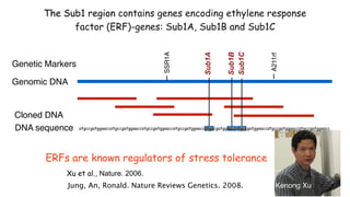 Plant Genetics and The Future of Food. Pam Ronald