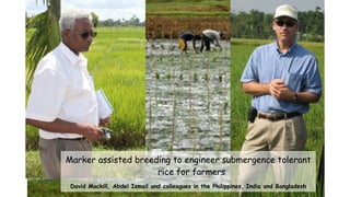 Plant Genetics and The Future of Food. Pam Ronald