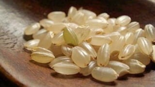 Plant Genetics and The Future of Food. Pam Ronald