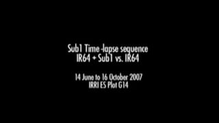 Plant Genetics and The Future of Food. Pam Ronald