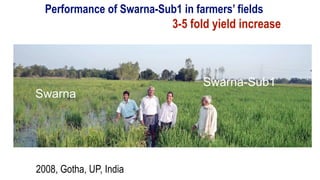 Plant Genetics and The Future of Food. Pam Ronald