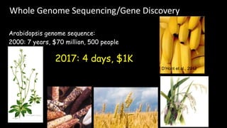 Plant Genetics and The Future of Food. Pam Ronald
