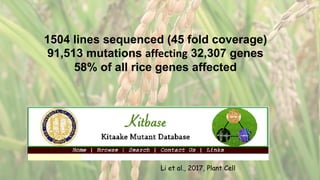 Plant Genetics and The Future of Food. Pam Ronald