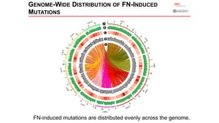 Plant Genetics and The Future of Food. Pam Ronald