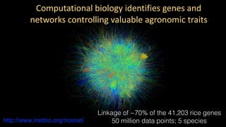 Plant Genetics and The Future of Food. Pam Ronald