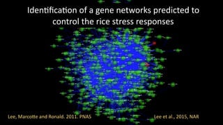 Plant Genetics and The Future of Food. Pam Ronald