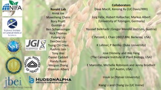 Plant Genetics and The Future of Food. Pam Ronald