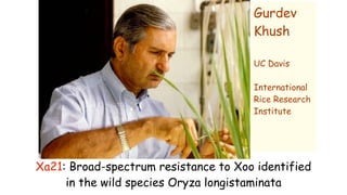 Plant Genetics and The Future of Food. Pam Ronald