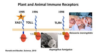 Plant Genetics and The Future of Food. Pam Ronald