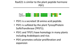 Plant Genetics and The Future of Food. Pam Ronald